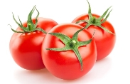 Помідор - опис, корисні і небезпечні властивості томатів